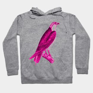 hawk,bald eagle,falcon,golden eagle,birdie,bird,bird of prey,raptor,aquila,vulture,heron,golf game,golf,eaglet,condor,haliaeetus,harpy eagle,beak,eagle putt,bird of jove,accipitridae Hoodie